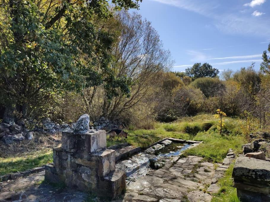 Casa Rural Tozolosolobos Otero de Bodos Exteriör bild